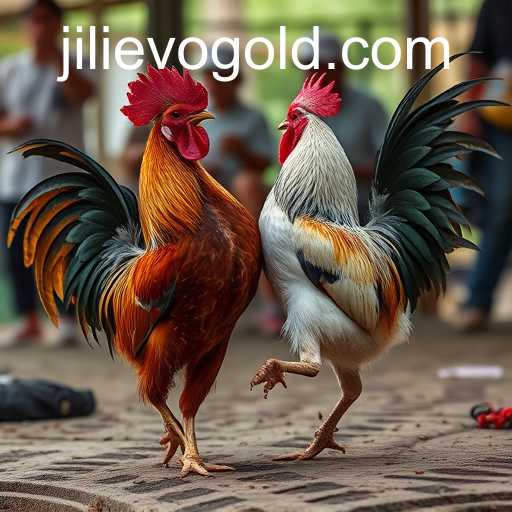 The Complex World of Cockfighting: Tradition, Conflict, and Controversy